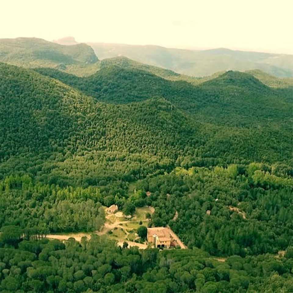 Digital Detox montagne e boschi