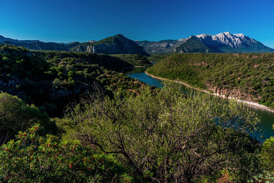 Digital Detox di 3 giorni all'ecoparco sul Lago Cedrino